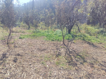 10 biswas agricultural land for sale in 15 miles Manali