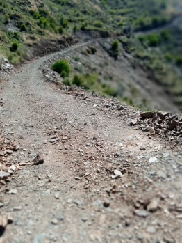 Property for sale in Rajgarh, Sirmour