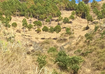 Property for sale in Rajgarh, Sirmour