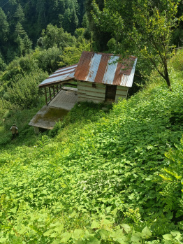 Property for sale in Simsa Road, Manali