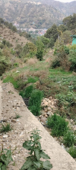 8 biswas residential plot for sale in Solan near Old Bus stand