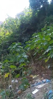 Residential plot for sale in Nahan near PG college, Shimla road, sirmaur