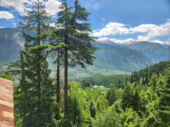 6 biswas land for sale in Manali, near Mata Hadimba Temple road