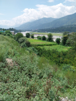 20 biswas land for sale in Kullu near Four lane highway Bhuntar