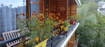 19 Rooms hotel for rent in Manali with beautiful and amazing mountain view