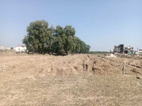 200 Sq. Yards Residential Plot for Sale in Kumher, Bharatpur
