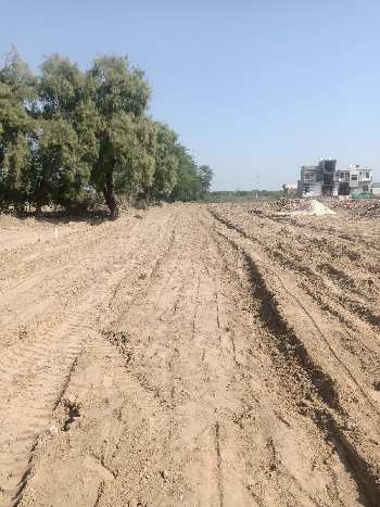 180 Sq. Yards Residential Plot for Sale in Kumher, Bharatpur