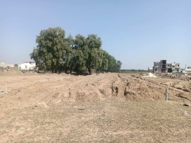758 Sq. Yards Farm House for Sale in NH 11, Bharatpur