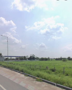 Agricultural/Farm Land for Sale in Bhilwara Udaipur Highway, Bhilwara (14 Bigha)