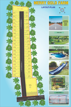 Commercial Lands /Inst. Land for Sale in Pushkar, Ajmer (100 Sq. Yards)