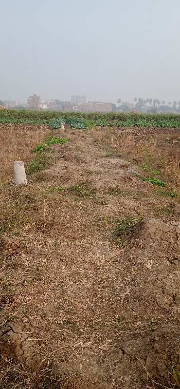 1200 Sq.ft. Residential Plot for Sale in Bairiya, Patna