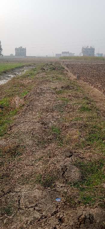 Property for sale in Bairiya, Patna