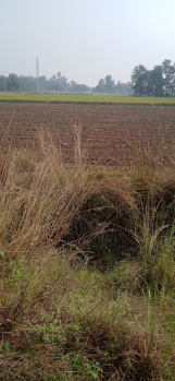 Property for sale in Beldari Chak, Patna
