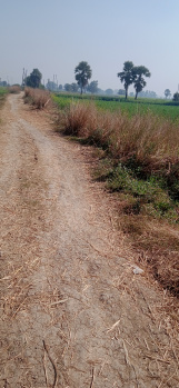 1200 Sq.ft. Residential Plot for Sale in Beldari Chak, Patna