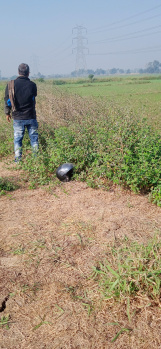 Property for sale in Beldari Chak, Patna