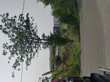 Residential Plot for Sale in Sampatchak, Patna (1200 Sq.ft.)