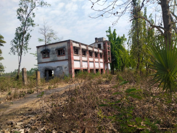 200 Bigha Industrial Land / Plot for Sale in Lal Bazar, Bankura