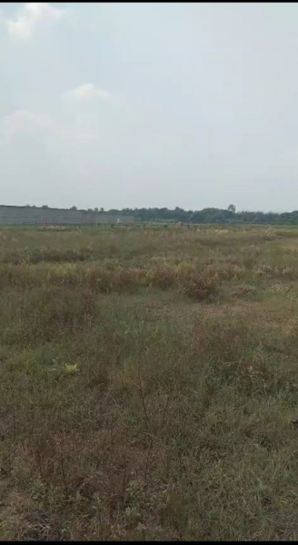 Residential Plot For Sale In Polba, Hooghly (300 Bigha)