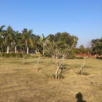 2.5 Acre Agricultural/Farm Land for Sale in Sohna, Gurgaon