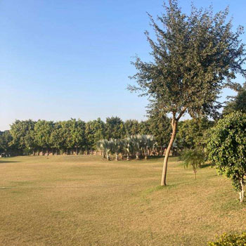 1.5 Acre Agricultural/Farm Land for Sale in Sohna, Gurgaon