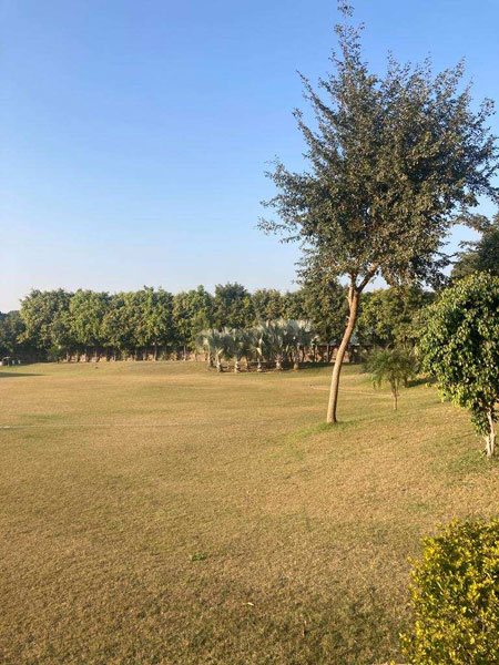 1.5 Acre Agricultural/Farm Land For Sale In Sohna, Gurgaon