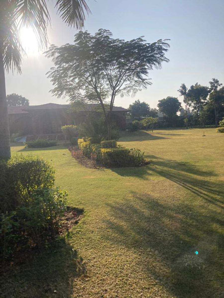 2 Acre Agricultural/Farm Land For Sale In Sohna, Gurgaon