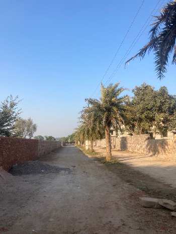 4 Acre Agricultural/Farm Land for Sale in Sohna Palwal Road, Gurgaon