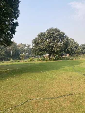 Property for sale in Rewasan, Nuh