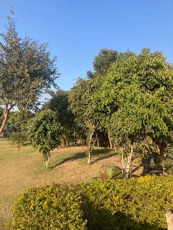 Property for sale in Rewasan, Nuh