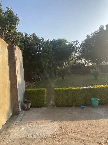 2 Acre Agricultural/Farm Land for Sale in Ghasera, Nuh