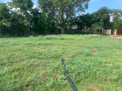 4 Acre Agricultural/Farm Land for Sale in Nalhar, Nuh