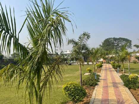 3 BHK Farm House for Sale in Sohna Palwal Road, Gurgaon (1 Acre)
