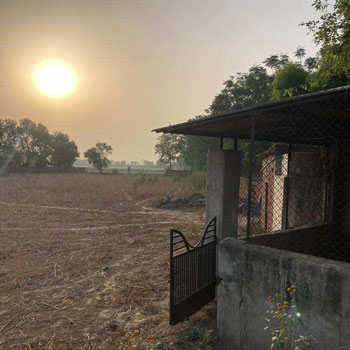 20 Acre Agricultural/Farm Land for Sale in Sohna, Gurgaon