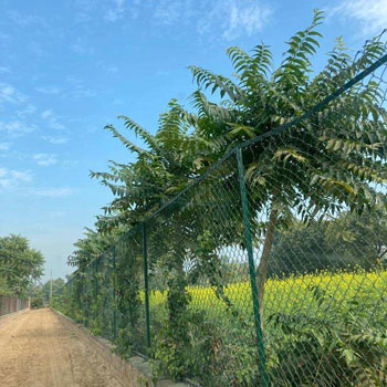 4 Acre Agricultural/Farm Land for Sale in Ferozepur Jhirka, Nuh