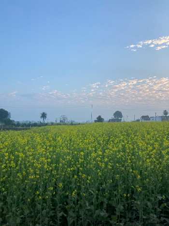 Property for sale in Ferozepur Jhirka, Nuh