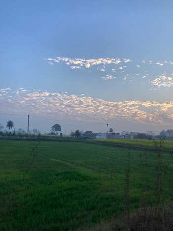 Property for sale in Ferozepur Jhirka, Nuh