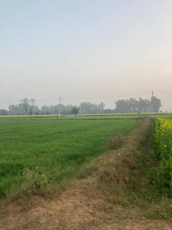 Property for sale in Ghasera, Nuh