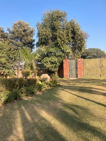 Property for sale in Ghasera, Nuh