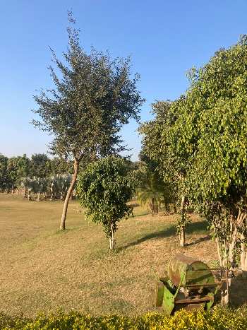 Property for sale in Ghasera, Nuh