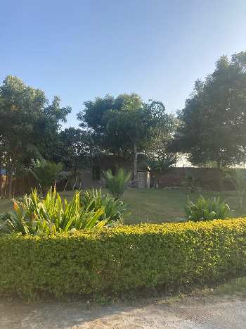 Property for sale in Ghasera, Nuh