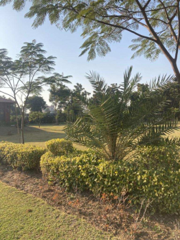 Property for sale in Rewasan, Nuh