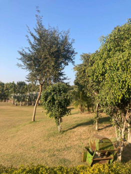 Property for sale in Rewasan, Nuh