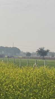 2 Acre Agricultural/Farm Land for Sale in Gurgaon