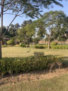 2 BHK Farm House for Sale in Sohna Road Sohna Road, Gurgaon (34 Sq.ft.)