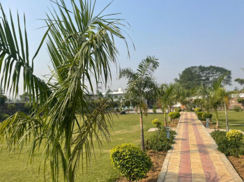 3 Acre Agricultural/Farm Land for Sale in Sohna Road, Gurgaon