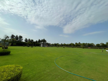 2 Acre Agricultural/Farm Land for Sale in Sohna Palwal Road, Gurgaon