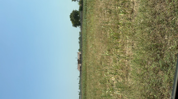 10 Bigha Agricultural/Farm Land for Sale in Naugaon, Alwar