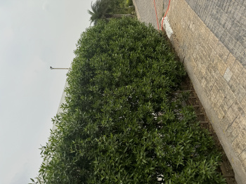 Property for sale in Ramgarh, Alwar