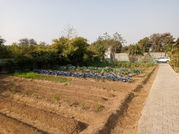 30 Bigha Agricultural/Farm Land for Sale in Delhi Bypass Road, Alwar