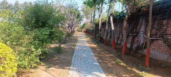 1 Acre Agricultural/Farm Land for Sale in Green Valley, Faridabad